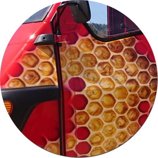 Bienenwaben auf Piaggo Ape