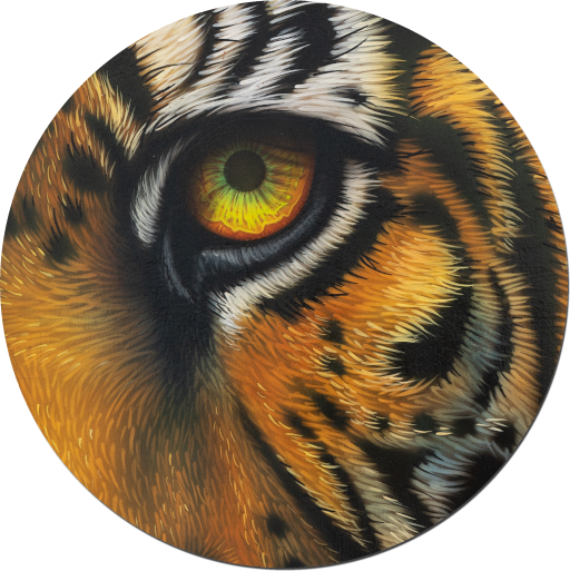 Airbrushbild Tigerkopf